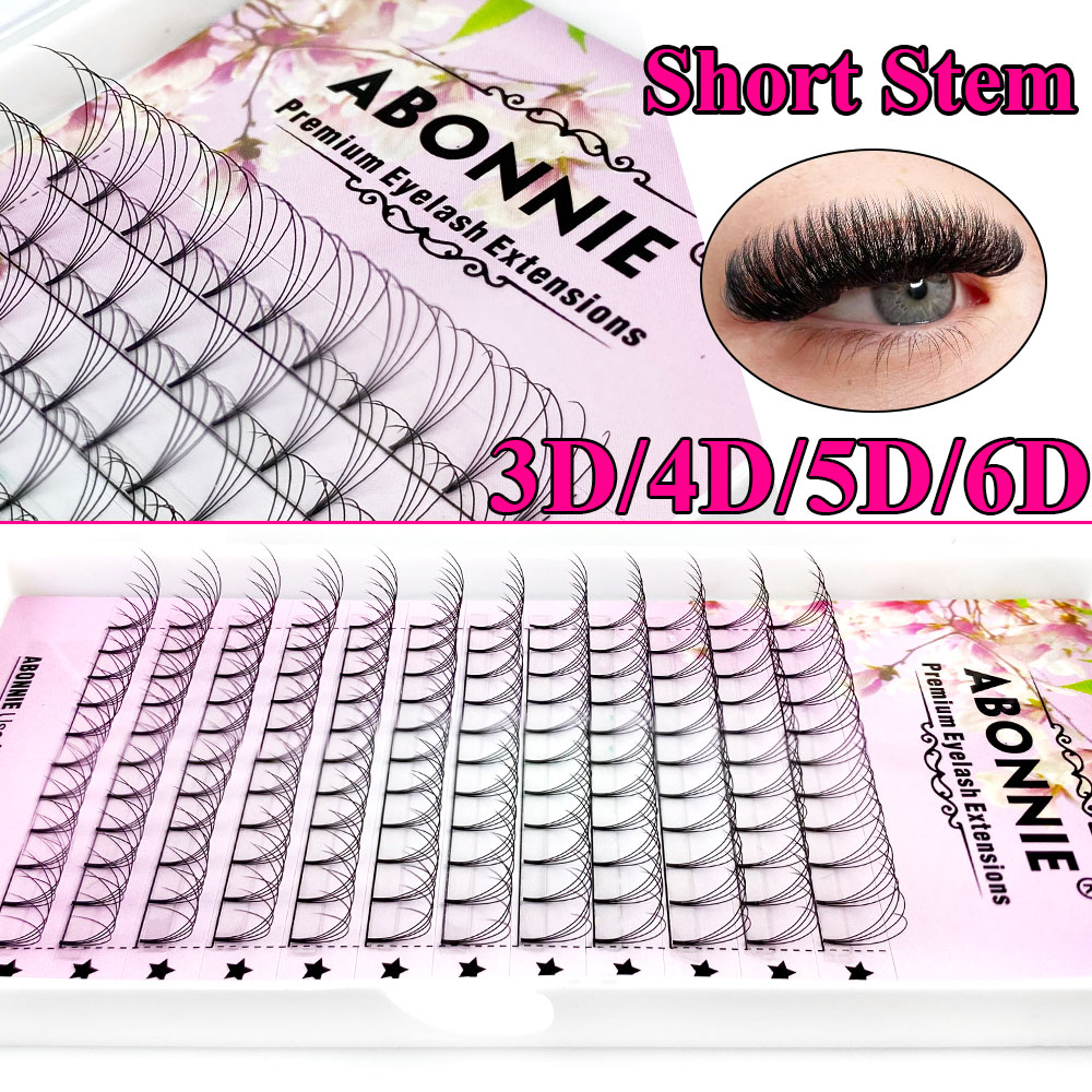 Abonnie 6D Narrow Fan Premade  - Lash Fan Volume recension och pris
